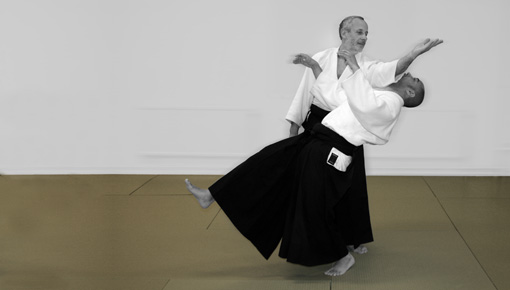 Aikido image
